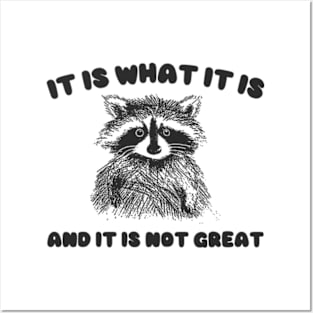 It Is what it is and it is not great, Cartoon Meme Top, Vintage Cartoon Sweater, Unisex Posters and Art